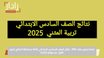 رابط تحميل ملف PDF”.. نتائج الصف السادس الابتدائي 2025 محافظة المثني الدور الأول عبر موقع نتائجنا