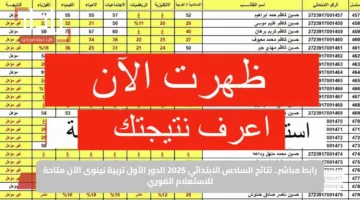 رابط مباشر.. نتائج السادس الابتدائي 2025 الدور الأول تربية نينوى الآن متاحة للاستعلام الفوري