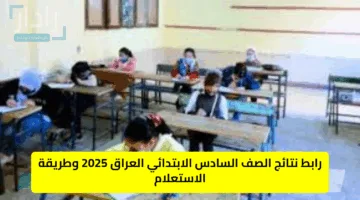 رابط نتائج الصف السادس الابتدائي العراق 2025 وطريقة الاستعلام