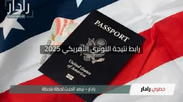 “حلمك على بعد نقرة”.. رابط نتيجة اللوتري الأمريكي 2025 برقم الطلب متاح الآن عبر الإنترنت
