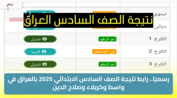 رسميًا.. رابط نتيجة الصف السادس الابتدائي 2025 بالعراق في واسط وكربلاء وصلاح الدين