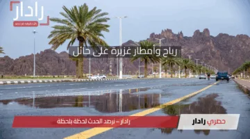 تحذير من المركز الوطني للأرصاد.. طقس متقلب في مناطق متعددة من المملكة مع أمطار ورياح غزيرة