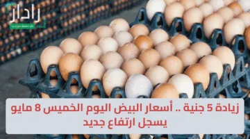 زيادة 5 جنية .. أسعار البيض اليوم الخميس 8 مايو يسجل ارتفاع جديد