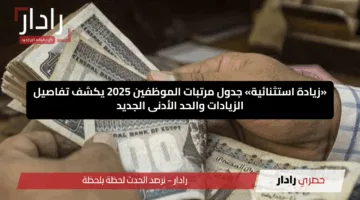 «زيادة استثنائية» جدول مرتبات الموظفين 2025 يكشف تفاصيل الزيادات والحد الأدنى الجديد