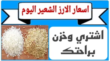 استقرار سعر الأرز الشعير الآن 2025 في الأسواق.. الطن يسجل من 16 إلى 16.5 ألف جنيه