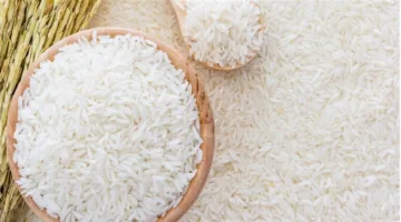 بكام طن رفيع الحبة الآن.. سعر الأرز الشعير اليوم في مصر 5 مايو 2025 بالسوق المحلي