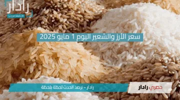 “هدوء نسبي في سوق الغذاء بمصر! “.. استقرار الأرز وتراجع أسعار سلع أساسية اليوم 1 مايو 2025!!