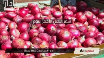 سعر البصل الأحمر اليوم.. إليك قائمة بأسعار الخضروات الكاملة في الأسواق