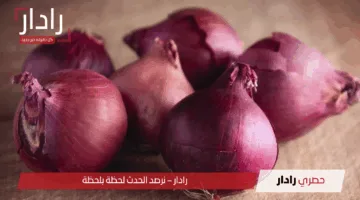 “تحديث يومي” سعر البصل الاحمر اليوم يثير التساؤلات استقرار أم ارتفاع جديد بأسواق الأحد