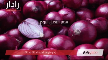 سعر البصل اليوم في مصر.. واستقرار ملحوظ في أسعار الخضروات الثلاثاء 13 مايو 2025