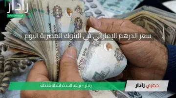 سعر الدرهم الإماراتي مقابل الجنيه المصري اليوم الإثنين 5 مايو 2025 في البنوك المصرية