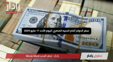 “هبوط 11 قرشًا في أسبوع”.. سعر الدولار أمام الجنيه المصري اليوم الأحد 11 مايو 2025