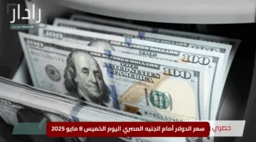 “الأخضر يحلّق في البنوك”.. سعر الدولار أمام الجنيه المصري اليوم الخميس 8 مايو 2025