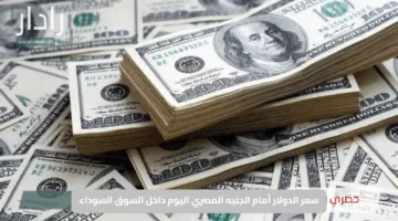 “قفزات مفاجئة”.. سعر الدولار أمام الجنيه المصري اليوم داخل السوق السوداء وتغييرات لحظية تثير القلق