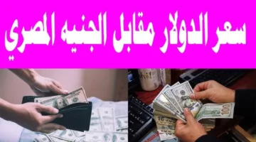 “أخر الأسعار”.. سعر الدولار اليوم مقابل الجنيه المصري في البنوك المصرية للبيع والشراء