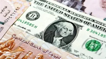 سعر الدولار اليوم مقابل الجنيه الاربعاء 14 مايو 2025 استقرار مفاجئ في الأسعار في البنوك الآن