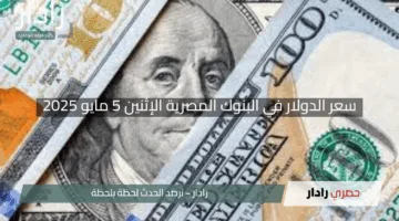 “الأخضر يختتم يومه”.. سعر الدولار في البنوك المصرية الإثنين 5 مايو 2025