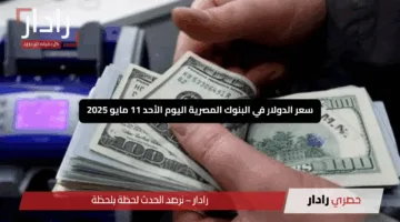 “الأخضر اليوم”.. سعر الدولار في البنوك المصرية اليوم الأحد 11 مايو 2025