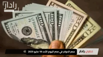 “الجنيه يحافظ على ثباته بقوة”.. سعر الدولار في مصر اليوم الأحد 18 مايو 2025
