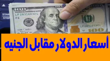 التحديثات الأخيرة.. سعر الدولار مقابل الجنيه المصري اليوم الأحد 11 مايو 2025 داخل البنوك للبيع والشراء