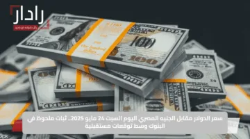 سعر الدولار مقابل الجنيه المصري اليوم السبت 24 مايو 2025.. ثبات ملحوظ في البنوك وسط توقعات مستقبلية
