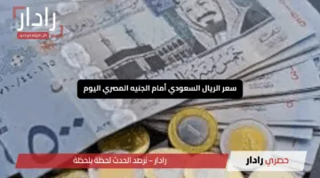ثبات سعر الريال السعودي أمام الجنيه المصري اليوم الأحد 11 مايو 2025 قبيل موسم الحج