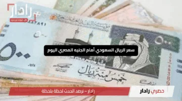 استقرار سعر الريال السعودي أمام الجنيه المصري اليوم الأحد 11 مايو 2025: تعرف على التفاصيل