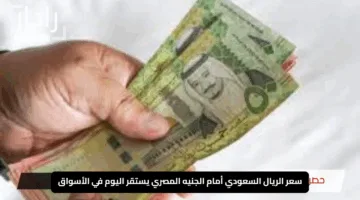 “يحتفظ بثباته”.. سعر الريال السعودي أمام الجنيه المصري يستقر اليوم في الأسواق