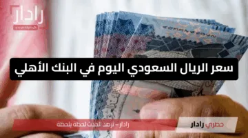 انخفاض جديد في أسعار العملات.. سعر الريال السعودي اليوم في البنك الأهلي وبنوك أخرى مقابل الجنية المصري للبيع والشراء