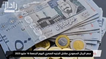“هبوط مفاجئ”.. سعر الريال السعودي مقابل الجنيه المصري اليوم الجمعة 16 مايو 2025 قبل انطلاق موسم الحج