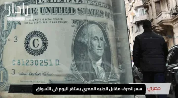 “الدولار يحافظ على ثباته”.. سعر الصرف مقابل الجنيه المصري يستقر اليوم في الأسواق