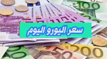 أخر التحديثات.. سعر اليورو اليوم مقابل الجنيه الجنيه المصري الجمعة 2 مايو 2025 داخل البنوك