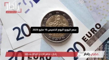 “تقلبات مثيرة”.. سعر اليورو اليوم الخميس 15 مايو 2025 مع ترقب حذر من المستثمرين