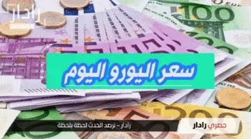 لحظة بلحظة.. سعر اليورو اليوم في مصر مقابل الجنيه السبت 18 مايو 2025 للبيع والشراء