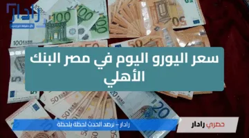 سعر اليورو اليوم في مصر البنك الأهلي والبنوك الأخرى الخميس 8 مايو 2025 للبيع والشراء