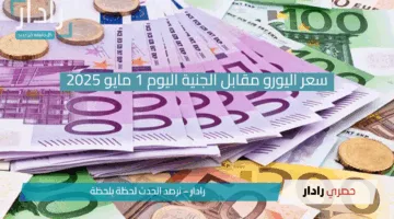 «اليورو وقع قدام الجنيه النهارده بشكل مفاجئ!».. والبنوك بتسجل أرقام جديدة في أول أيام مايو 2025 وسط حالة ترقب في سوق الصرف!!