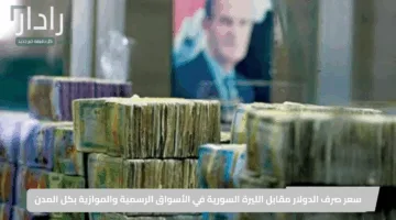 كم سعر الدولار اليوم؟ تعرف على سعر صرف الدولار مقابل الليرة السورية في الأسواق الرسمية والموازية بكل المدن