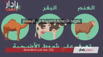 هل أضحيتك مقبولة؟ إليك شروط الأضحية الصحيحة في الإسلام بالتفصيل