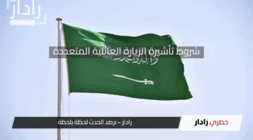 شروط الحصول على تأشيرة الزيارة العائلية المتعددة 2025 وخطوات الاستعلام عن طلب تأشيرة الزيارة