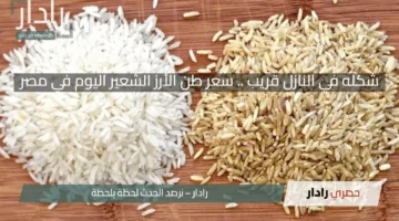 شكله في النازل قريب .. سعر طن الأرز الشعير اليوم في مصر الأحد 4 مايو 2025 “استقرار نسبي وتوقعات بانخفاض قادم”
