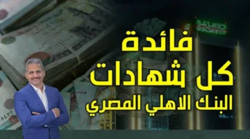 “اقتناصها”.. شهادات البنك الأهلي المصري 2025 تتصدر مشهد الادخار بعائد مرتفع ومزايا استثنائية