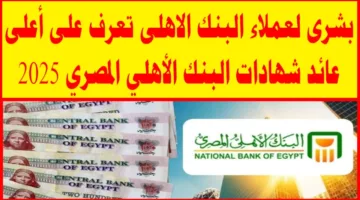 أحدث شهادات البنك الأهلي المصري 2025: فرص استثمارية بعوائد تنافسية تصل إلى 30%