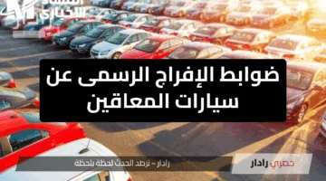 “الآن”.. ضوابط الإفراج الرسمى عن سيارات المعاقين وخطوات الحصول عليها