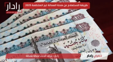 رابط الاستعلام عن منحة العمالة غير المنتظمة 2025 عبر الموقع الرسمي لوزارة القوى العاملة