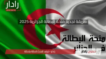 جددها الآن.. طريقة تجديد منحة البطالة الجزائرية 2025 والشروط والمستمسكات اللازمة للإعانة