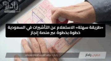 «طريقة سهلة» الاستعلام عن التأشيرات في السعودية خطوة بخطوة عبر منصة إنجاز
