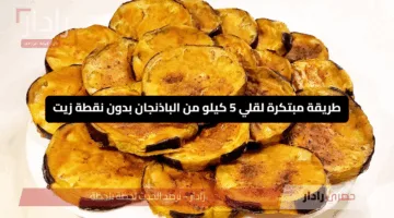 طريقة مبتكرة لقلي 5 كيلو من الباذنجان بدون نقطة زيت.. صحية ولذيذة ومقرمشة