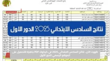 ظهرت الآن.. نتائج السادس الابتدائي 2025 في كركوك PDF جاهزة للتحميل على الموقع الرسمي للدور الأول