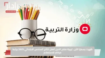 ظهرت رسميًا الآن.. تربية صلاح الدين تُعلن نتائج السادس الابتدائي 2025 برابط مباشر للاستعلام