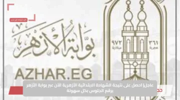 عاجل| احصل على نتيجة الشهادة الابتدائية الأزهرية الآن عبر بوابة الأزهر برقم الجلوس بكل سهولة